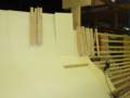 Photo Number 10