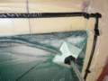 Photo Number 5