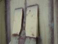 Photo Number 14