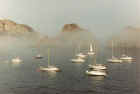 Mist in Havre Gosselin, island Sark (37053 bytes)