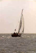 Sailing in "het Schuitengat"  (16026 bytes)